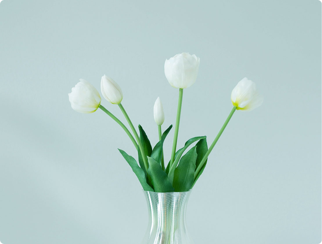 Bloom Objects
